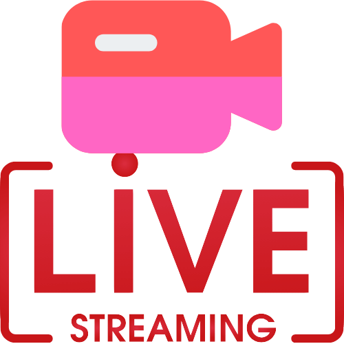 Cats Meow Webcam